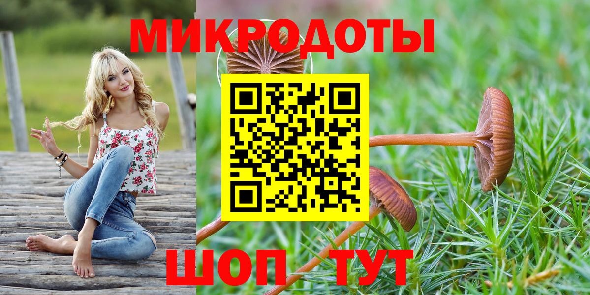 Галлюциногенные грибы Cubensis Юрга