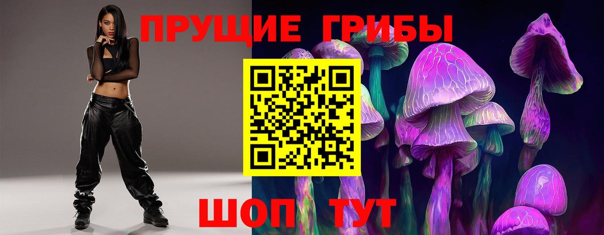 Юрга  Галлюциногенные грибы MAGIC MUSHROOMS  Вход с VPN  Галлюциногенные грибы прущие грибы 